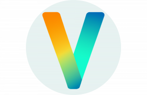 Valyew Logo