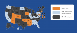 mdl Adoption by US State