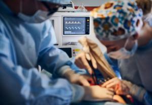 Transseptal Access Systems Market Size to Hit US$ 1,966 Million by 2032 at 7.5% CAGR – Report by insightSLICE
