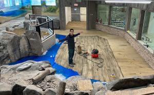Good News Concrete owner Rick Lopez standing in center of turtle enclosure epoxy flooring project he and his crew completed at the Idaho Falls Zoo.