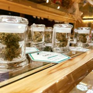 cannabis strains for sale denver