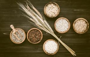 Probiotic Ingredients