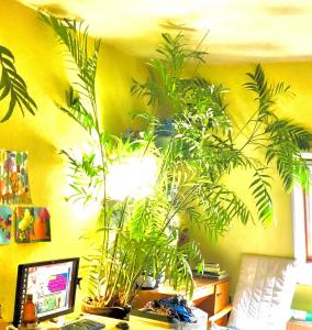 my home office (the "wall art" is from my grandsons)