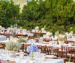 Cuisine of Chef Meze (photo credit: Chef Meze)