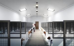 Artists Impression for redeveloped Rescue Dogs Rock NYC Care Facility (photo credit: Rescue Dogs Rock NYC)