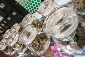 cannabis products and strains at high level health bay city dispensary