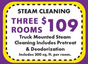 Twin Cities Finest 3 Room Carpet Cleaning Deal