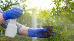 Controlled-release fertilizers Market - PMI