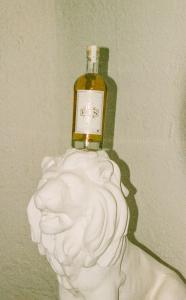Basbas Premium Hierbas on a Lion Head