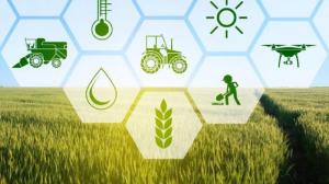 Agricultural Crop Insurance