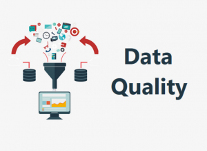 Data Quality Management