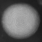 NuvoSome with visible layers