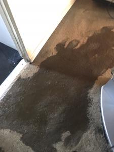 Flood Damage