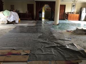 Property Damage