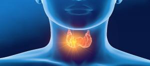 Thyroid Function Test Market1