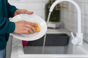 Dishwashing Liquids Market- insightSLICE