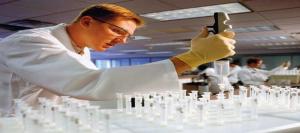 Biopharmaceutical CMO and CRO Market1