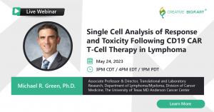 Single Cell Analysis of Response and Toxicity Following CD19 CAR T-Cell Therapy in Lymphoma