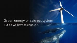 Are wind generators the new killer whale of the oceans?