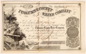Tuolumme County Water Company stock No. 618, issued to James Mills for one share on April 24, 1854, with a fantastic Gold Rush sluicing vignette, signed by D.O. Mills (est. $200-$500).