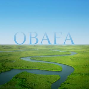 "They Say and four other short films by Muhammed Dibbasey have been collectively released under the title "OBAFA"