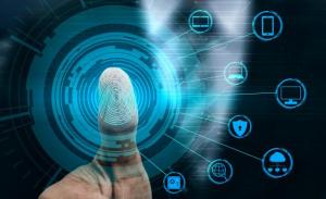 IAM Professional Services Market