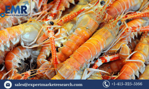 Crayfish Market