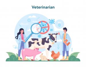 Veterinary Diagnostics