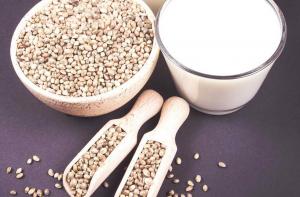 Hemp Milk