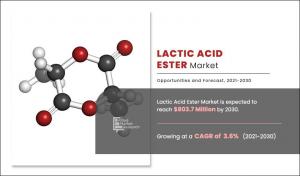 Lactic Acid Ester Market Report