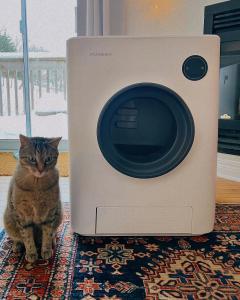 instachew purrclean litter box