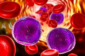 hematology oncology Market-PMI