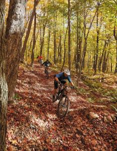 Mountain bikers enjoying Minnesota trails
