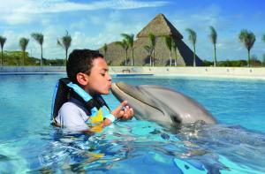 Interact with Dolphins at Dominican Republic
