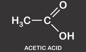 Acetic Acid Market
