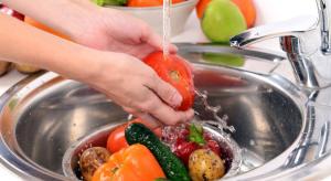 Food and Beverages Disinfection Market Overview