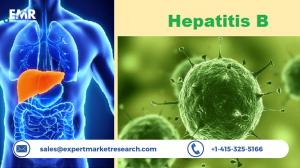 Hepatitis B Infection Treatment Market