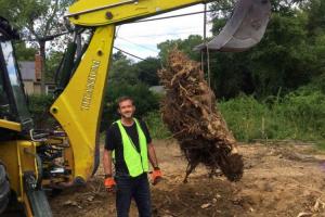 complete-tree-stump-removal-in-Ann-Arbor-MI