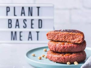 Plant-based Meat Market Forecast