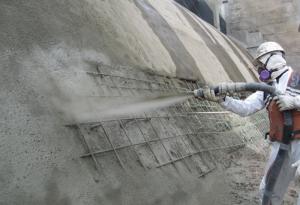 Global Shotcrete Accelerator Market