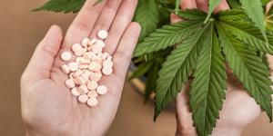 Cannabis Pharmaceutical Market1