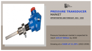 Pressure Transducer Market Share