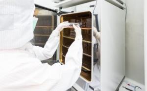 Technician undertaking cell culture in a cleanroom.