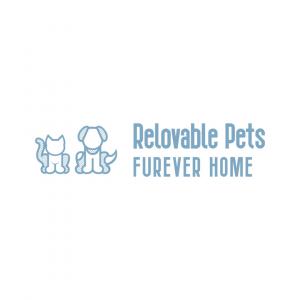 Relovable Pets Logo; A cat and dog sitting together with logo text