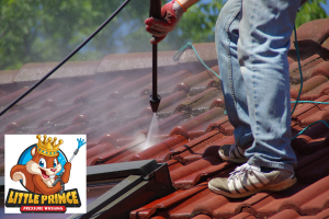 Little Prince Pressure Washing 2