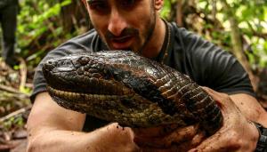 Paul Rosolie carefully handles a predatory python