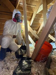 guano cleanup and attic decontamination