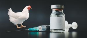 Poultry Vaccine Market1