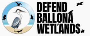 Bulldozing Opposition hub: DefendBallonaWetlands.org