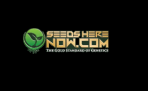 SeedHereNow